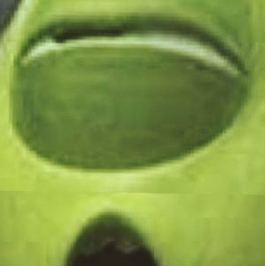 Meet your Posher, Chloe